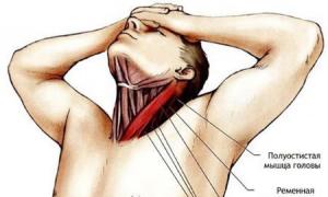 यदि आपकी गर्दन की मांसपेशियों में खिंचाव है तो क्या करें?