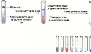Fizikalno-kemijske lastnosti beljakovin