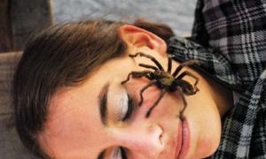 Zakaj sanjate o velikem črnem kosmatem pajku?