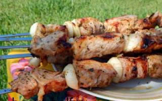 Adobo para kebab de cerdo con kiwi - receta sin añadir vinagre