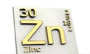 ¿Qué alimentos contienen zinc?
