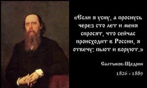 Saltykov-Shchedrin: citati o poslu, državi in ​​življenju